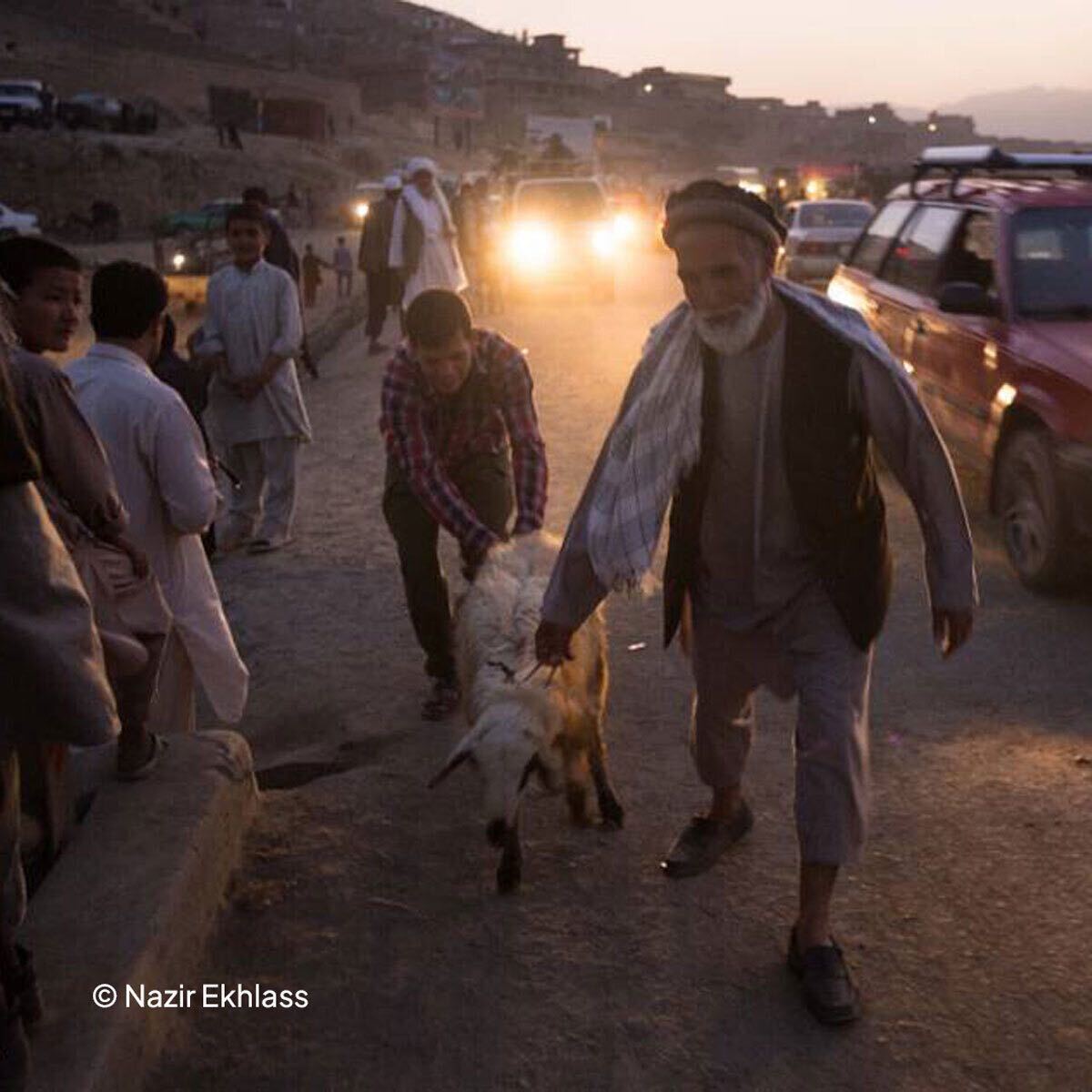 Qurbani Campaign For Eid Ul Adha Aseel