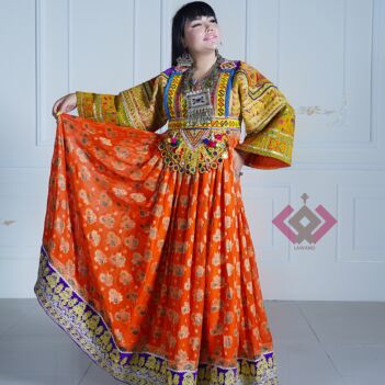 Cranberry Banarasi Vintage Bridal Dress | Balloon Sleeves Pleated Skirt Long Frock