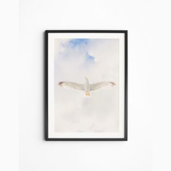 Bright Fly | A bird has spread its wings | Photography | Home Decor 