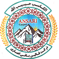 Ansari Carpet